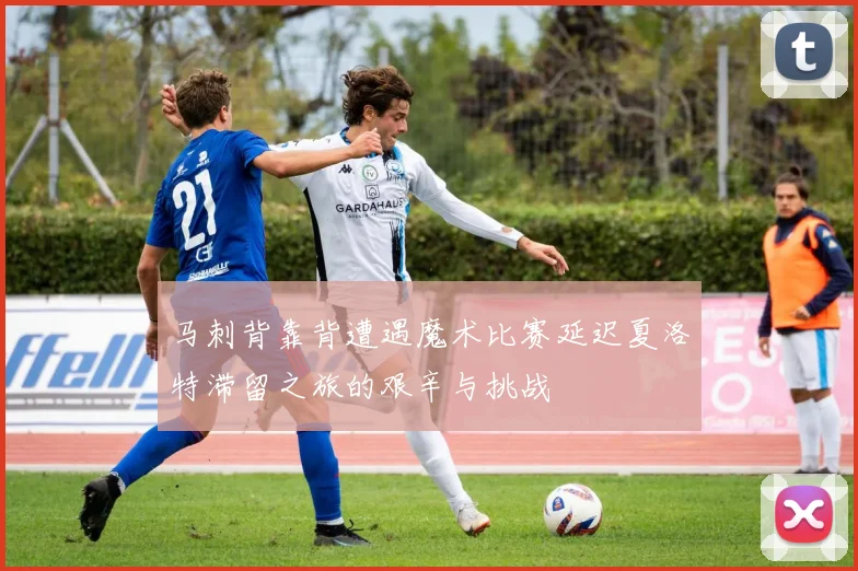马刺背靠背遭遇魔术比赛延迟夏洛特滞留之旅的艰辛与挑战