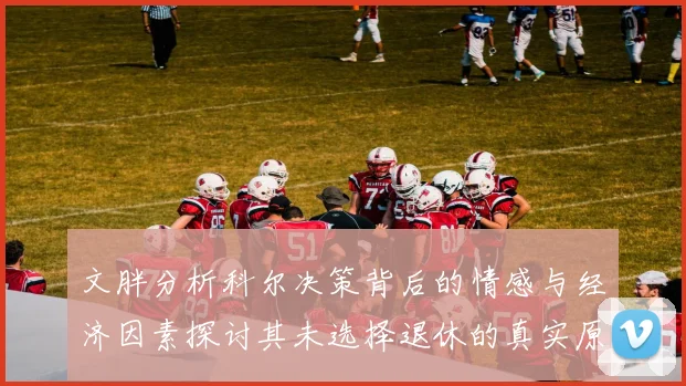 文胖分析科尔决策背后的情感与经济因素探讨其未选择退休的真实原因